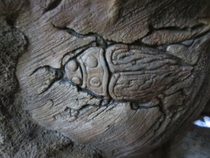 bug carving